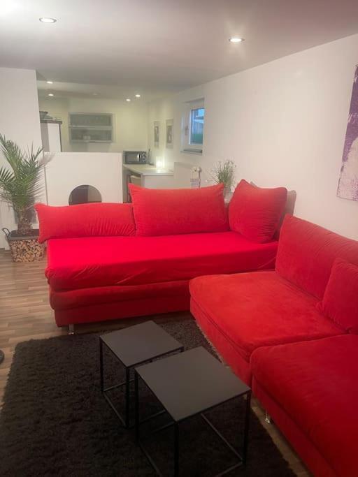 Gemuetliches Einliegerapartment, 50 Qm Trippstadt ภายนอก รูปภาพ