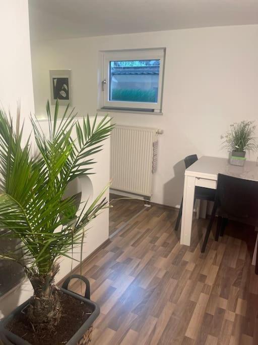 Gemuetliches Einliegerapartment, 50 Qm Trippstadt ภายนอก รูปภาพ